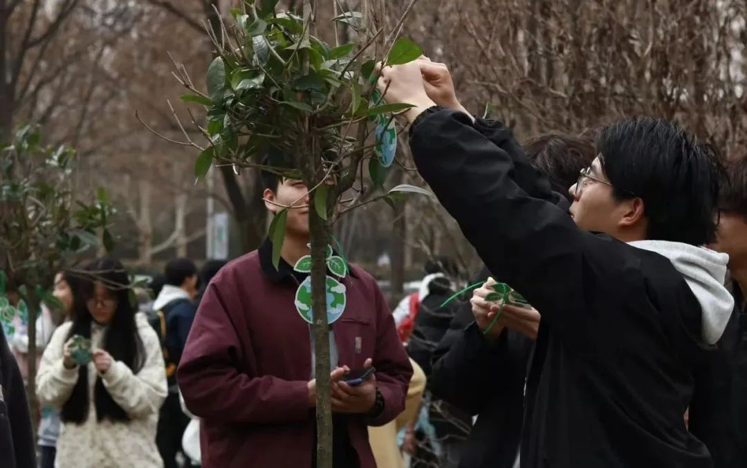 图片 图片